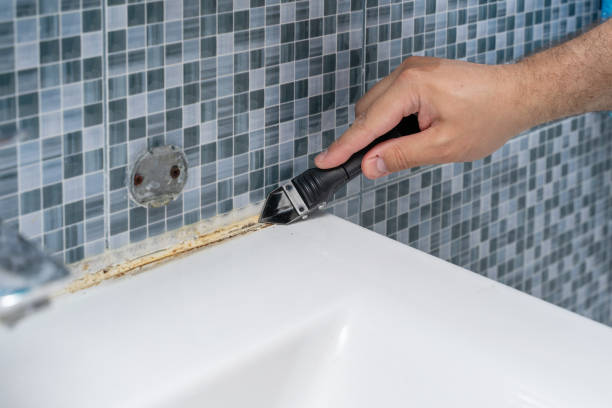 Best Emergency Mold Removal  in Ford City, PA